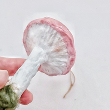 Load image into Gallery viewer, A closer view of the gills on a pink spun cotton mushroom ornament. Pic 3 of 4.