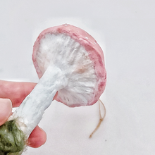 Cargar imagen en el visor de la galería, A closer view of the gills on a pink spun cotton mushroom ornament. Pic 3 of 4.
